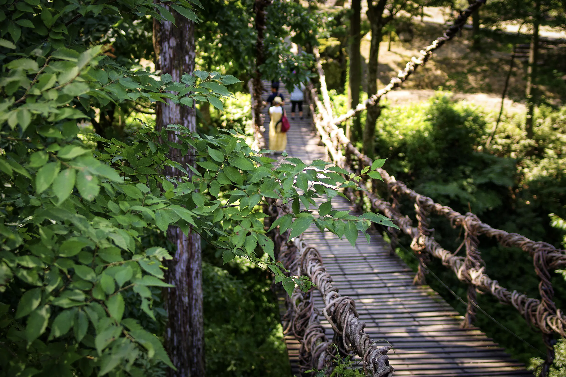 かずら橋