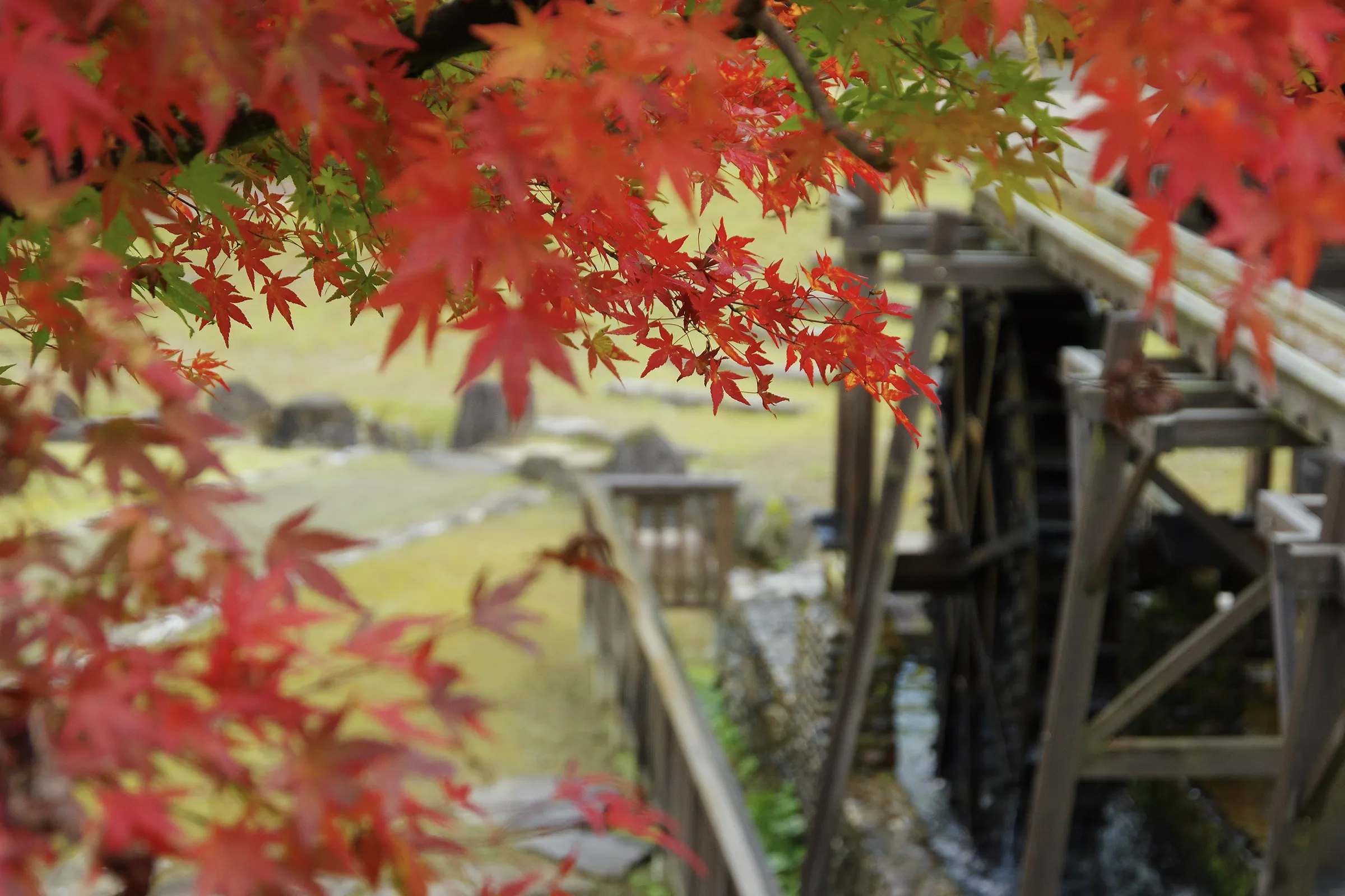 かずら橋